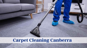 How to Safely and Efficiently Dry Your Carpets?